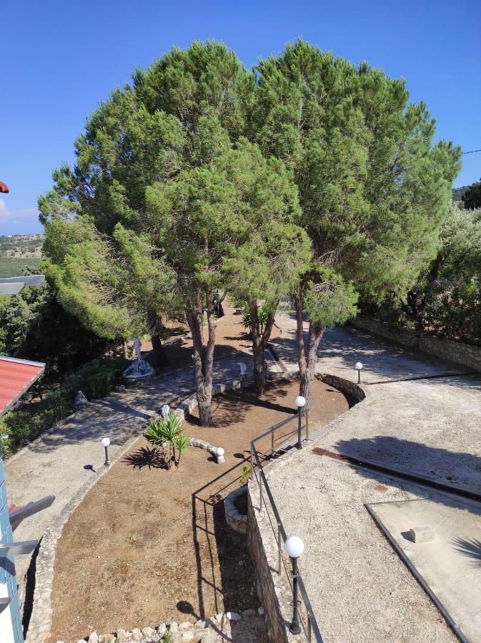 La Terrazza Di Carlo E Luisa Gasthof Zakynthos