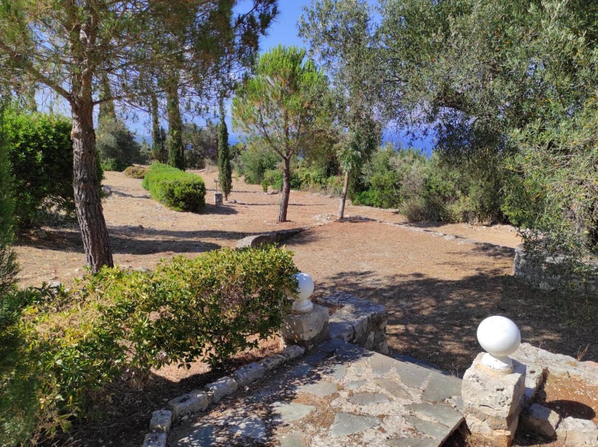 Gasthof La Terrazza Di Carlo E Luisa Zakynthos